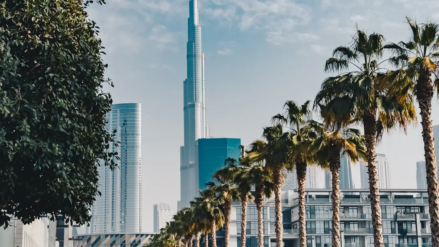 Palm tree-lined street in front of high-rise towers in Dubai