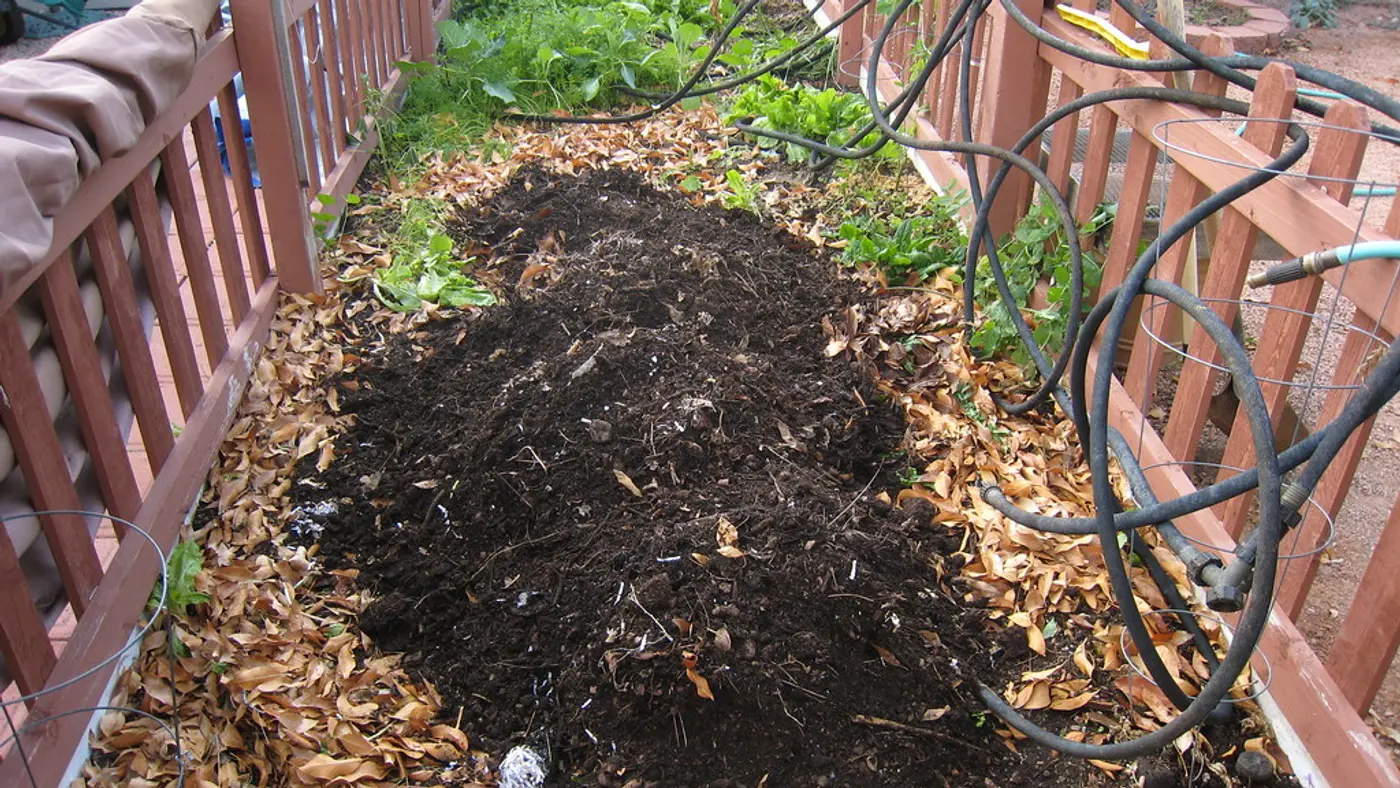 Dry brown autumn leaves mixed with rich organic matter during home compost preparation