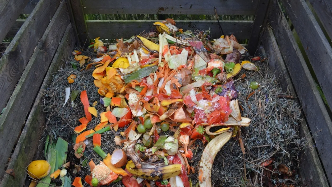 Fresh organic kitchen scraps including vegetable peelings and fruit rinds placed in a container