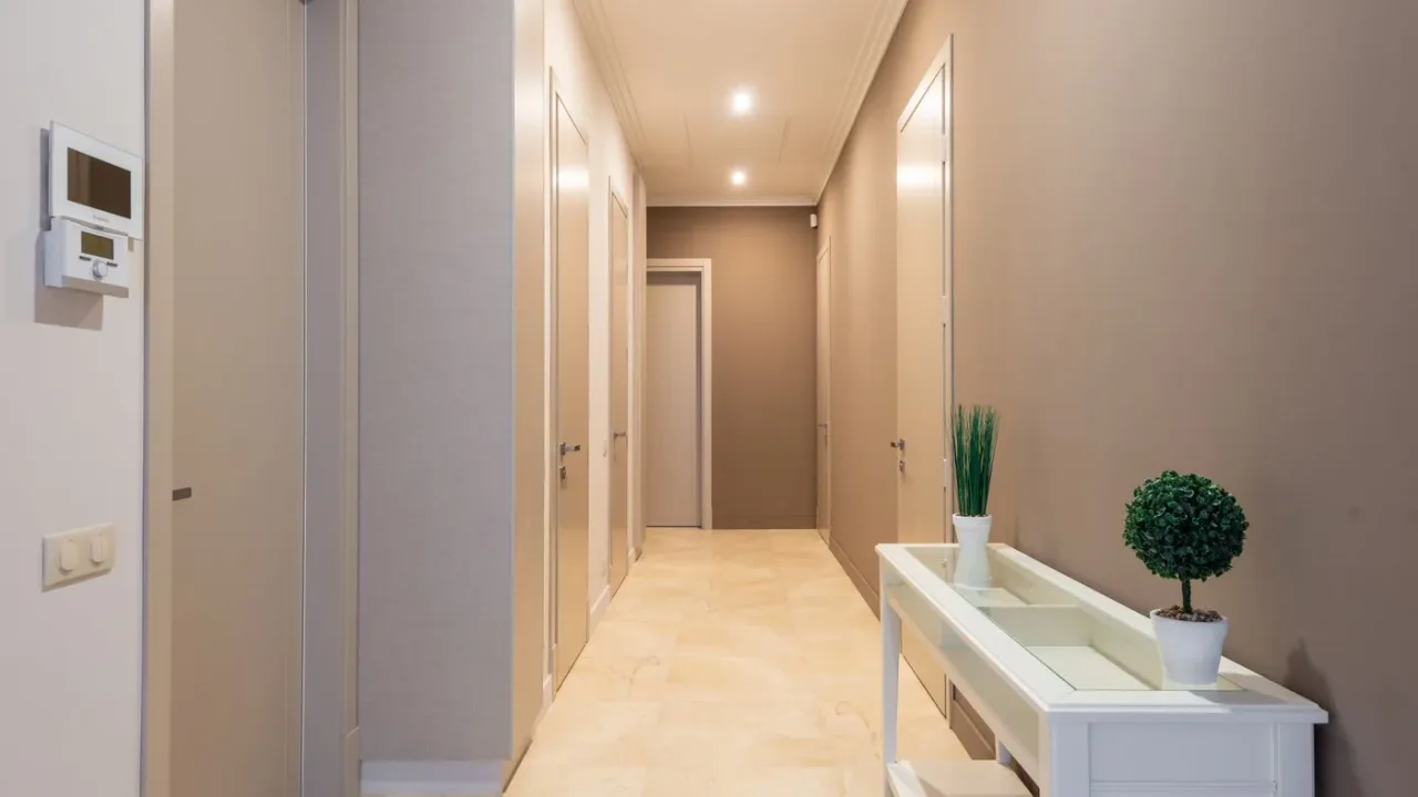Narrow internal corridor of an apartment with several closed doors along it, a console table and a small potted plant
