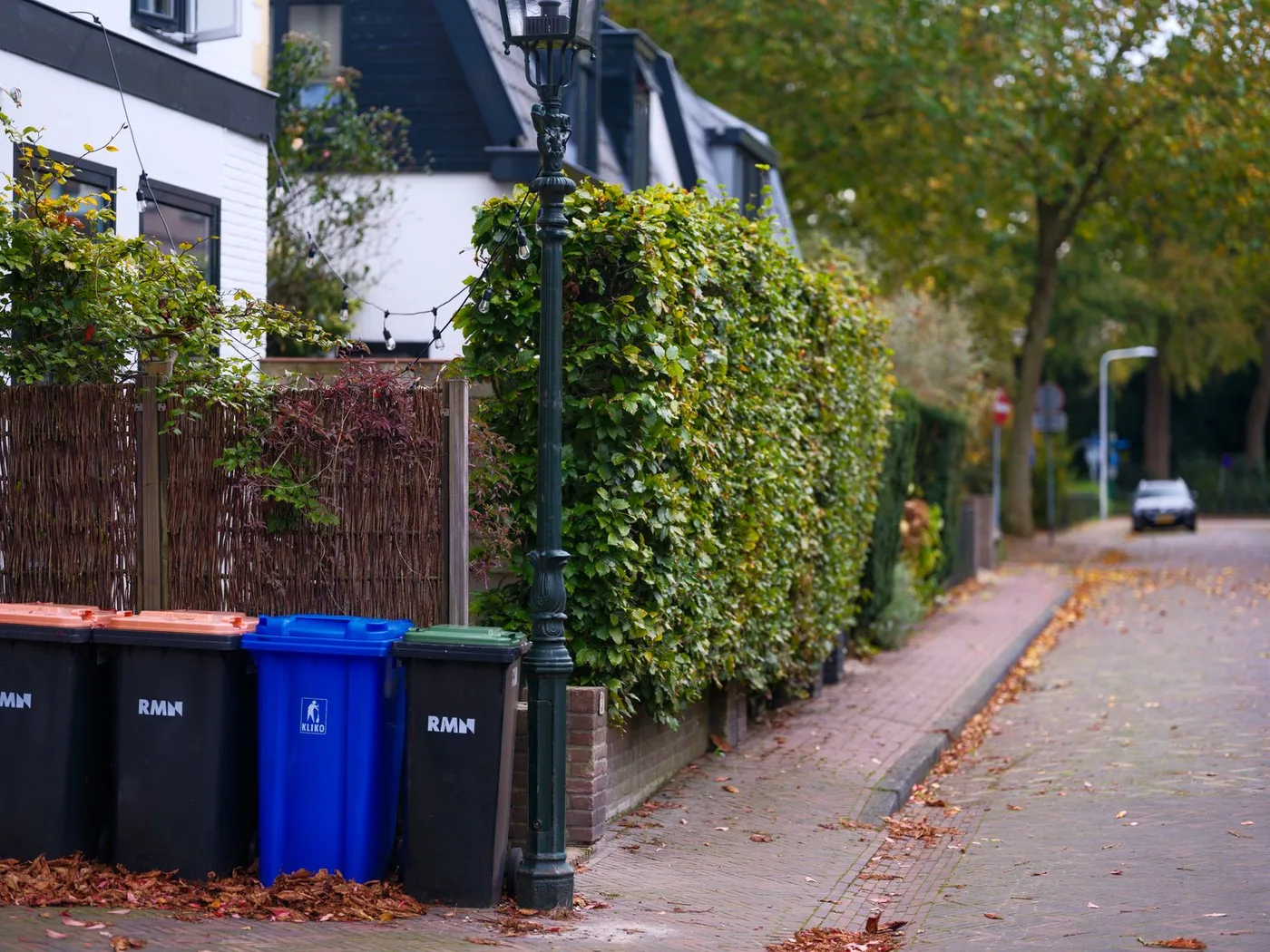 Black, blue and green wheelie bins standing in a row on a quiet residential street kerb lined with trees