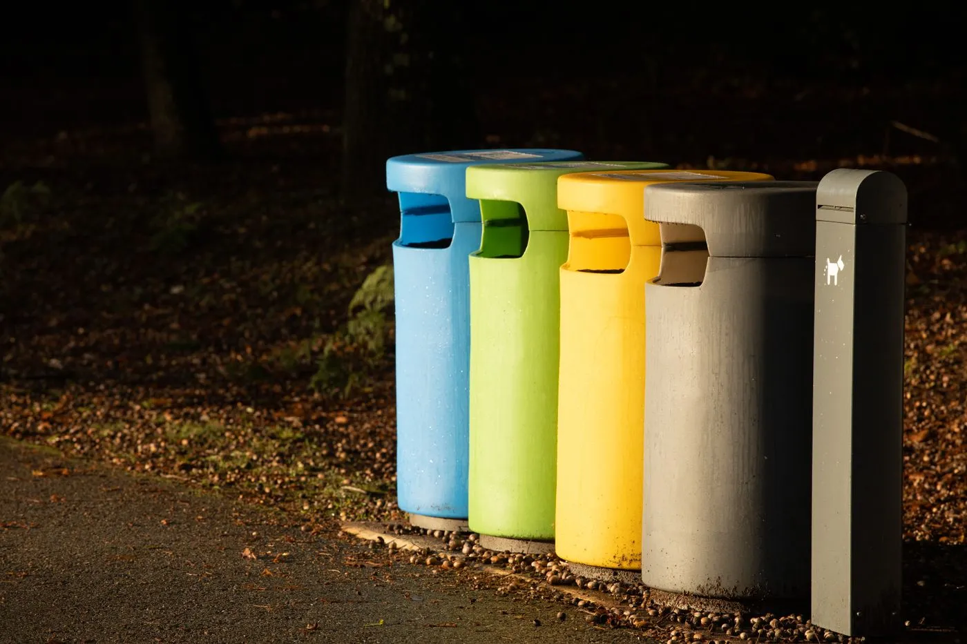 Four colour-coded waste bins in blue, green, yellow and grey standing in a row beside a path in low evening sun