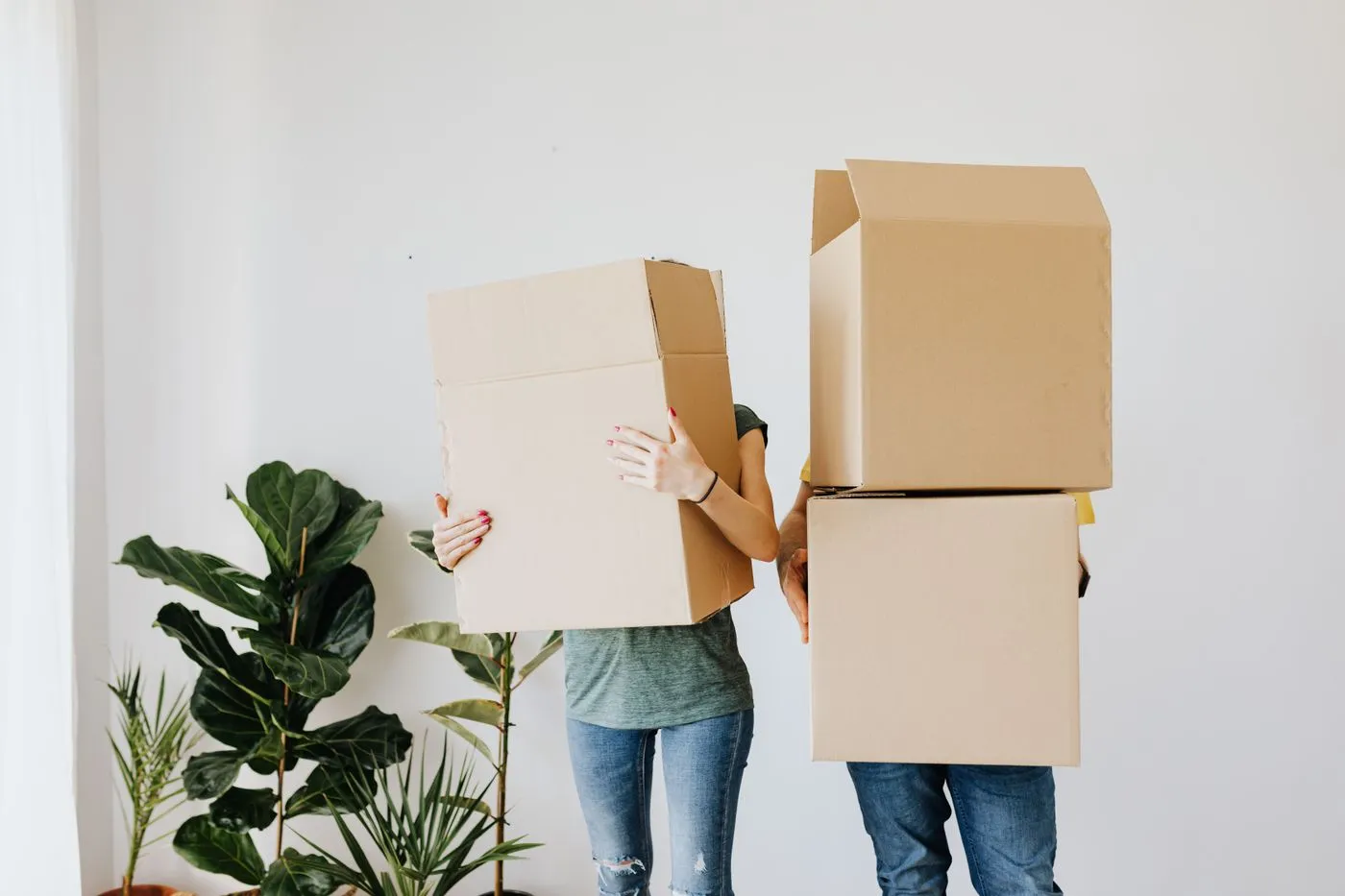 Two people standing against a white wall carrying stacked cardboard boxes beside a large potted plant