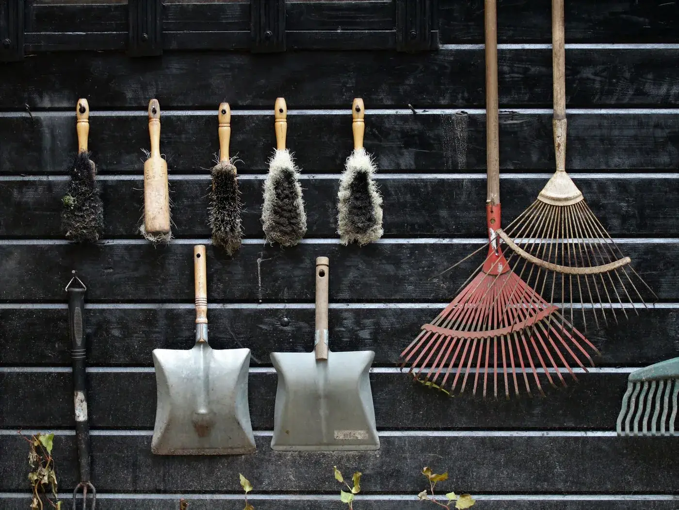 Garden hand tools and shears hanging in a row on a rustic wooden shed wall