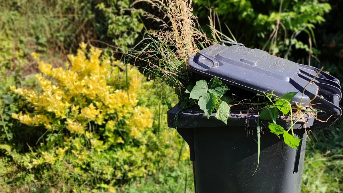 Wheeled garden waste bin overflowing with grass, leaves and green cuttings beside a flowering shrub
