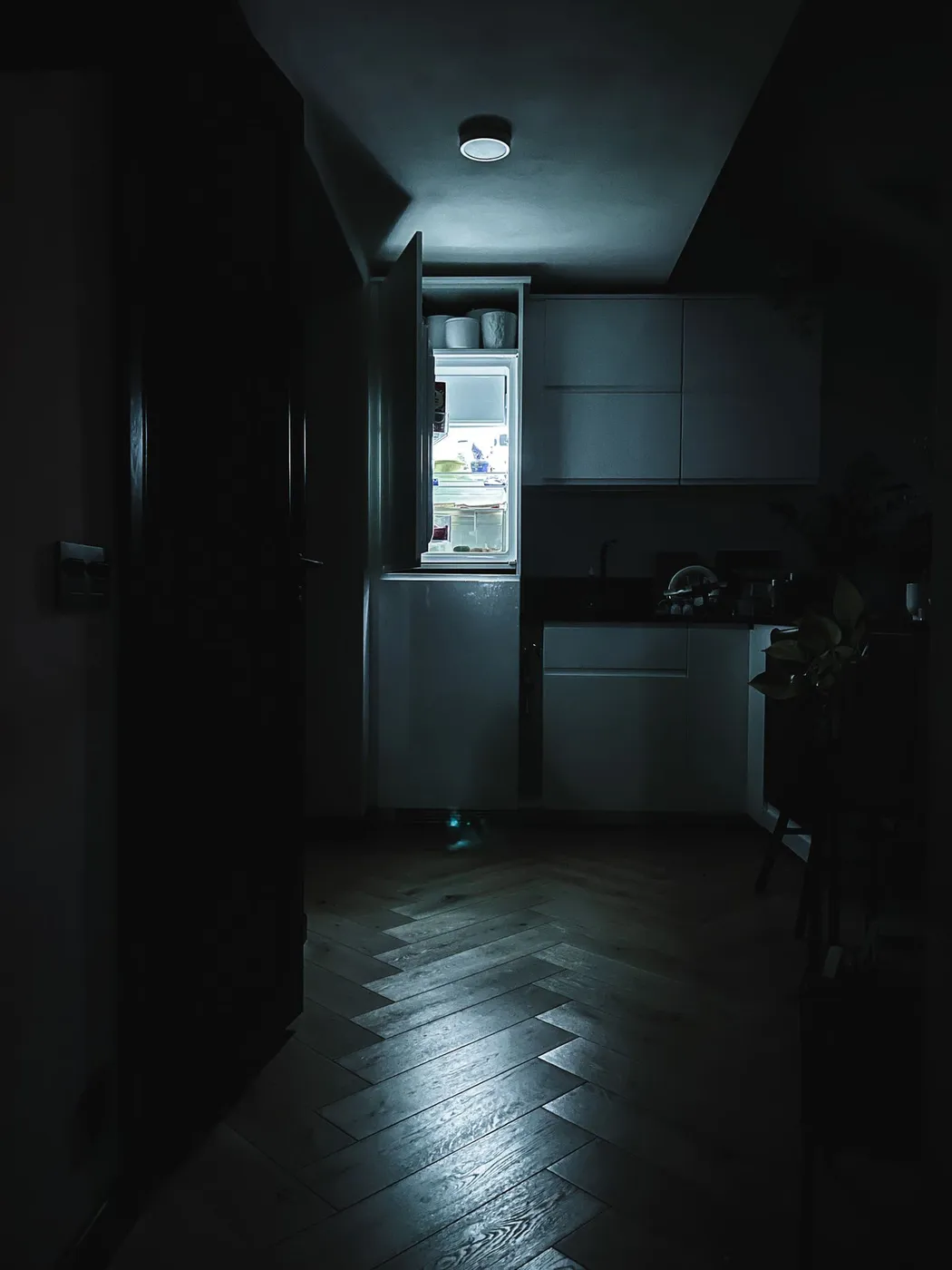 Refrigerator standing open in a dark kitchen, its interior light casting a glow across the floor