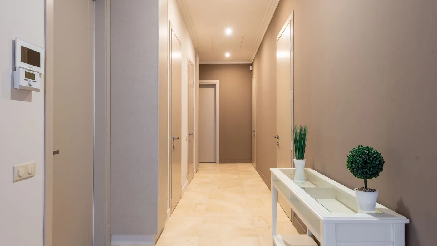 Narrow internal corridor of an apartment with several closed doors along it, a console table and a small potted plant