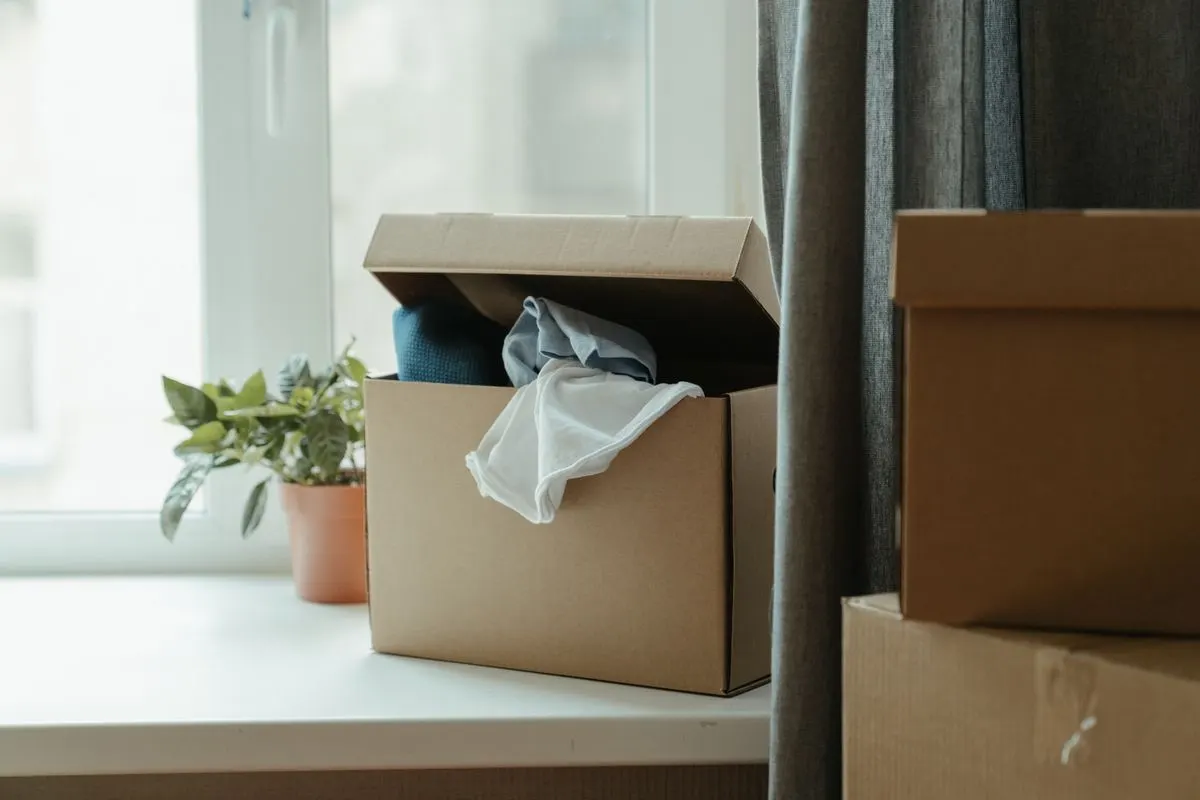 Open cardboard box holding folded clothing beside a sunlit window with a small potted plant
